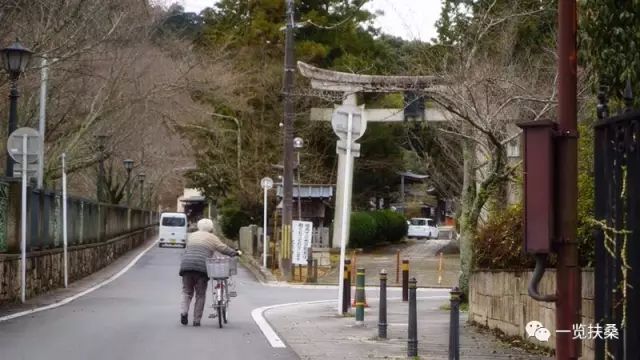 1000万日本人陷入养老地狱,这会是我们的未来吗?