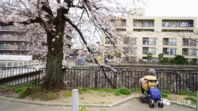 1000万日本人陷入养老地狱,这会是我们的未来吗?