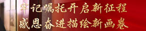 大大