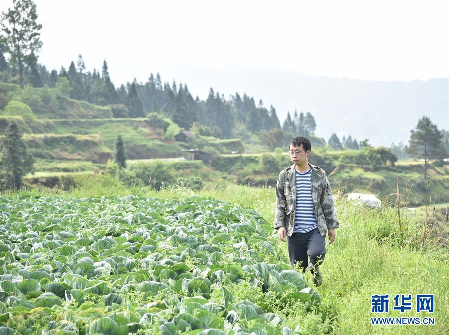 新华网评:为实现脱贫梦书写无悔青春